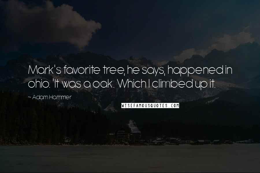 Adam Hammer Quotes: Mark's favorite tree, he says, happened in ohio. 'It was a oak. Which I climbed up it.