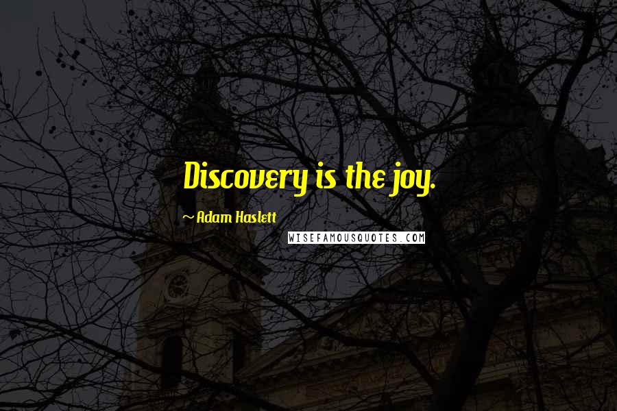 Adam Haslett Quotes: Discovery is the joy.
