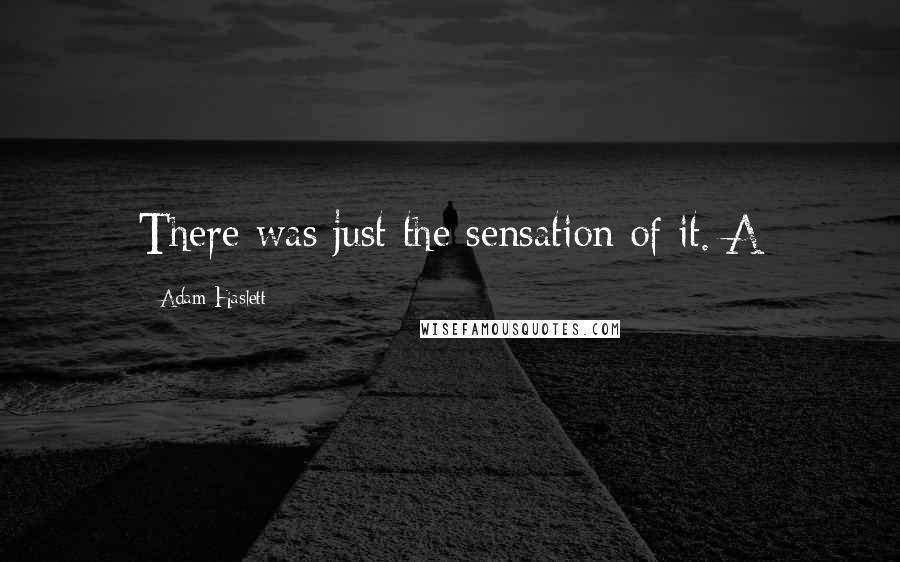 Adam Haslett Quotes: There was just the sensation of it. A