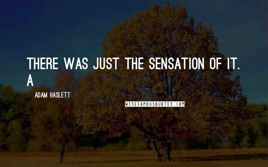 Adam Haslett Quotes: There was just the sensation of it. A