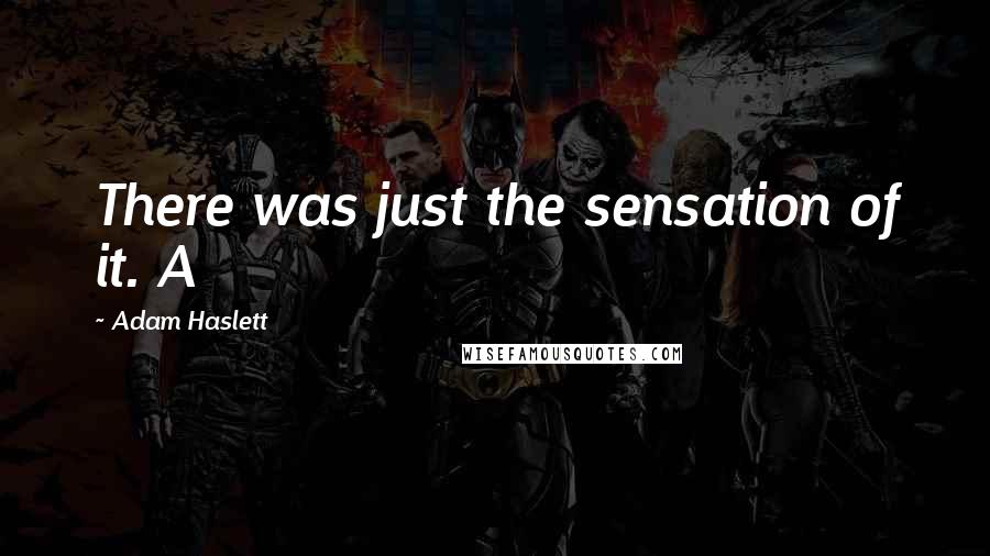 Adam Haslett Quotes: There was just the sensation of it. A