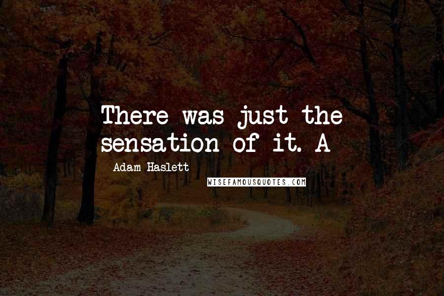 Adam Haslett Quotes: There was just the sensation of it. A