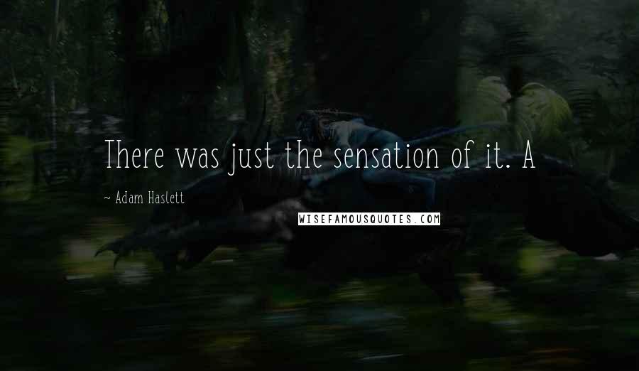 Adam Haslett Quotes: There was just the sensation of it. A