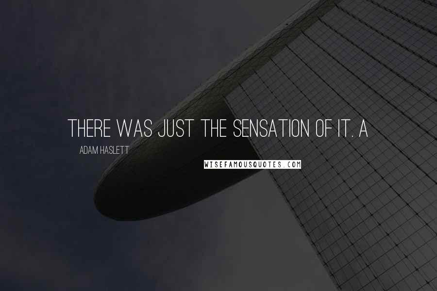 Adam Haslett Quotes: There was just the sensation of it. A