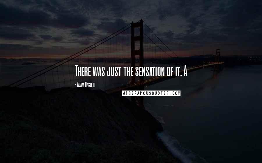 Adam Haslett Quotes: There was just the sensation of it. A