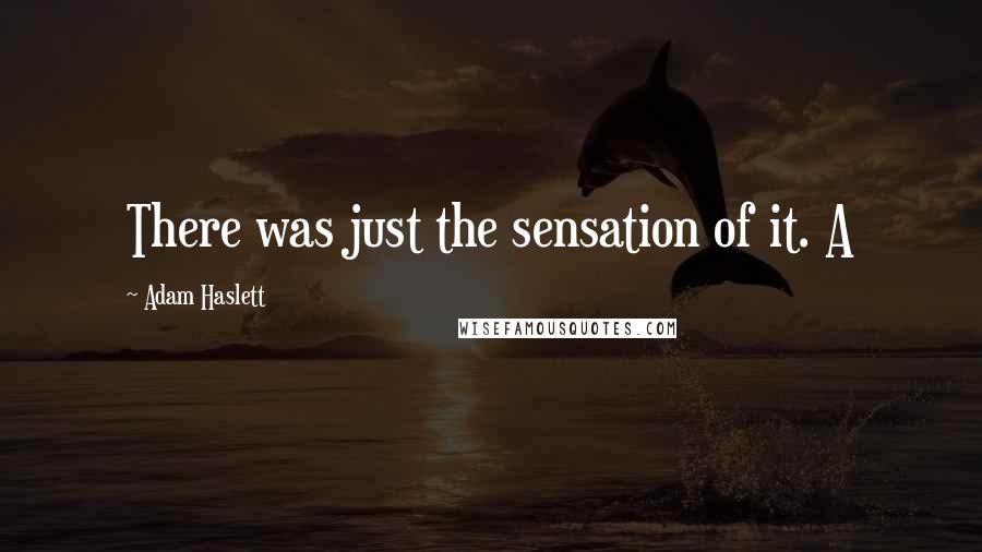 Adam Haslett Quotes: There was just the sensation of it. A