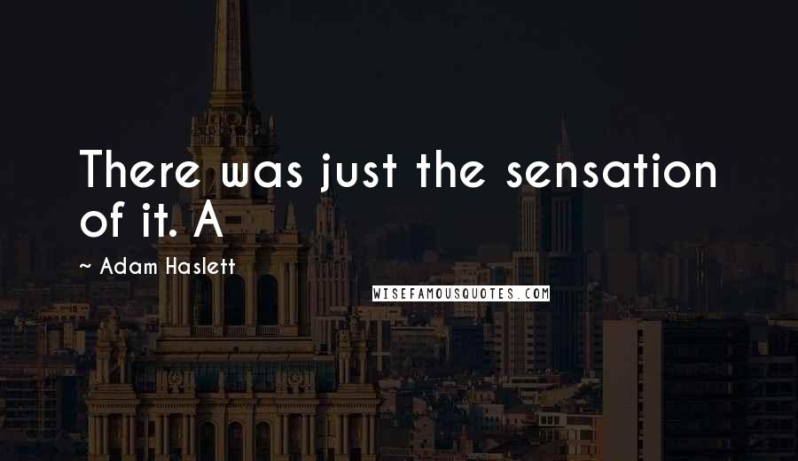 Adam Haslett Quotes: There was just the sensation of it. A