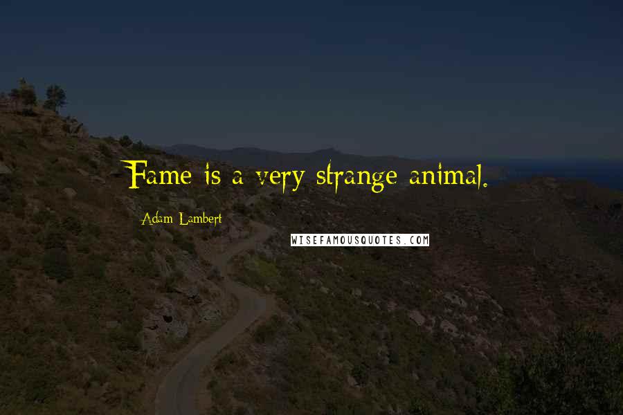 Adam Lambert Quotes: Fame is a very strange animal.