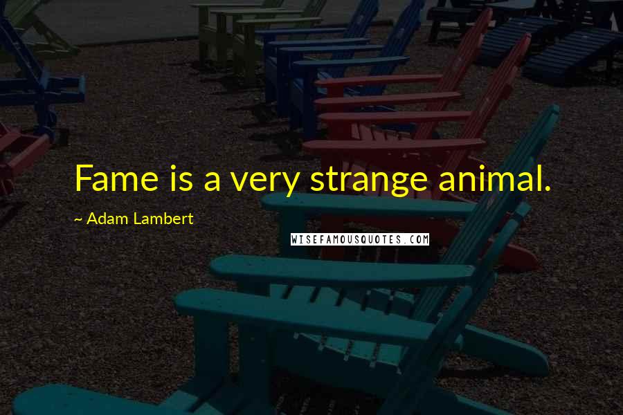 Adam Lambert Quotes: Fame is a very strange animal.