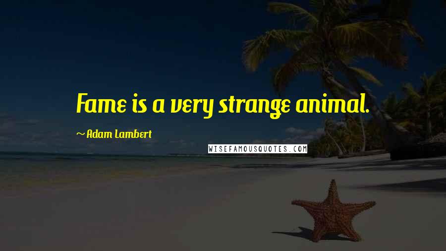 Adam Lambert Quotes: Fame is a very strange animal.
