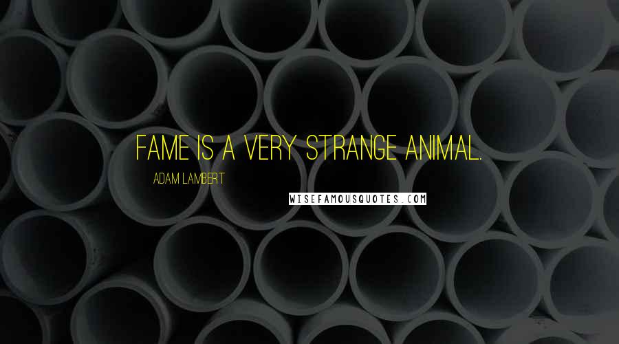 Adam Lambert Quotes: Fame is a very strange animal.