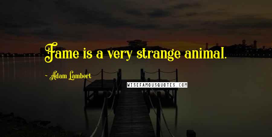 Adam Lambert Quotes: Fame is a very strange animal.