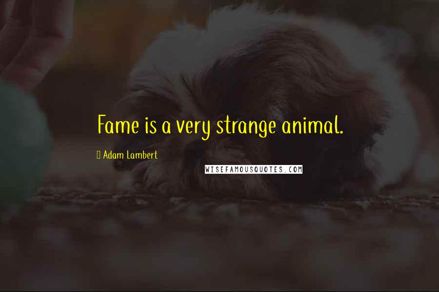 Adam Lambert Quotes: Fame is a very strange animal.