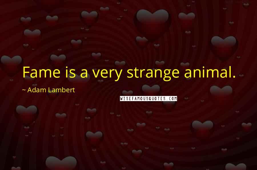 Adam Lambert Quotes: Fame is a very strange animal.