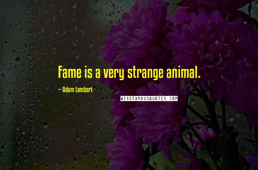 Adam Lambert Quotes: Fame is a very strange animal.