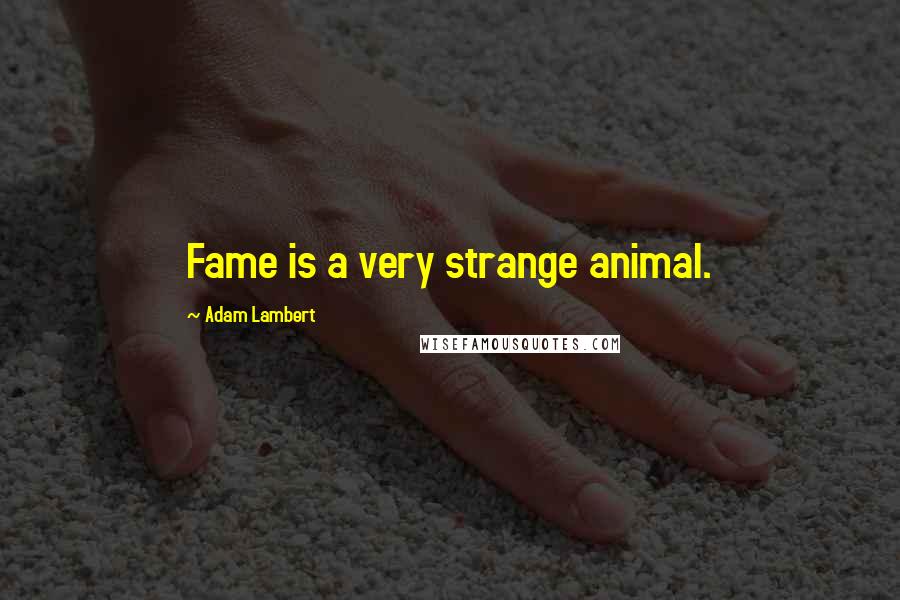 Adam Lambert Quotes: Fame is a very strange animal.