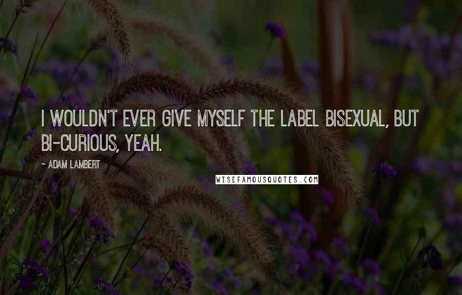 Adam Lambert Quotes: I wouldn't ever give myself the label bisexual, but bi-curious, yeah.