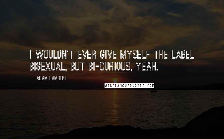 Adam Lambert Quotes: I wouldn't ever give myself the label bisexual, but bi-curious, yeah.
