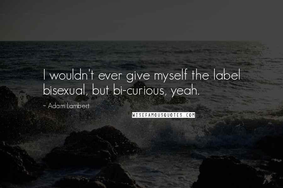 Adam Lambert Quotes: I wouldn't ever give myself the label bisexual, but bi-curious, yeah.