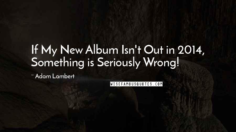 Adam Lambert Quotes: If My New Album Isn't Out in 2014, Something is Seriously Wrong!
