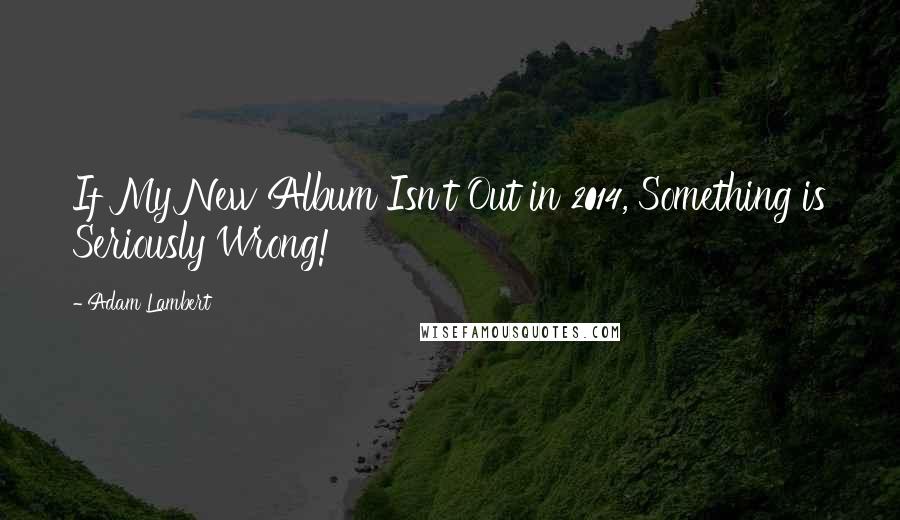 Adam Lambert Quotes: If My New Album Isn't Out in 2014, Something is Seriously Wrong!