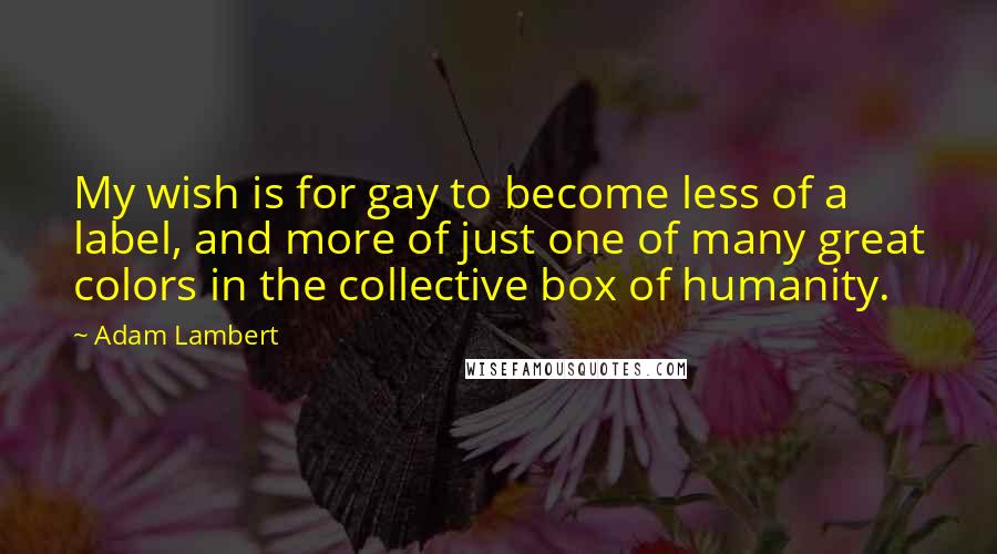 Adam Lambert Quotes: My wish is for gay to become less of a label, and more of just one of many great colors in the collective box of humanity.