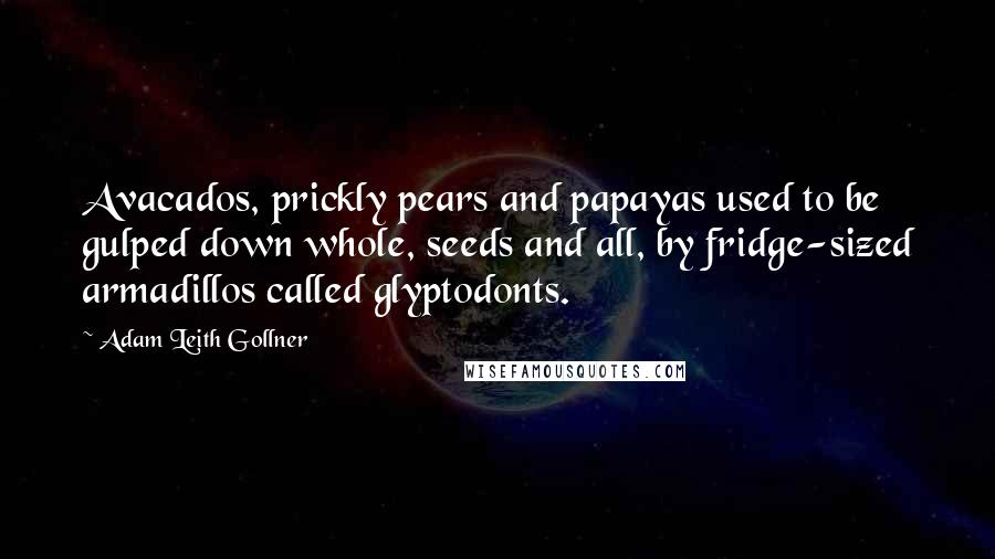 Adam Leith Gollner Quotes: Avacados, prickly pears and papayas used to be gulped down whole, seeds and all, by fridge-sized armadillos called glyptodonts.