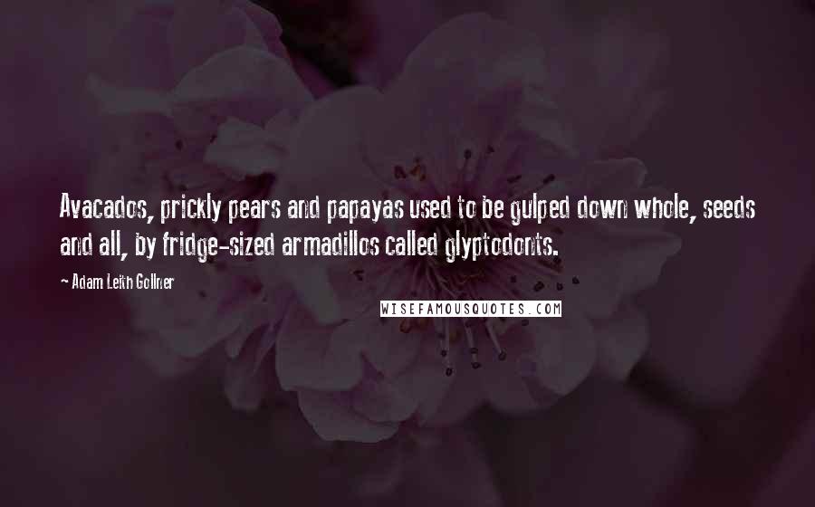 Adam Leith Gollner Quotes: Avacados, prickly pears and papayas used to be gulped down whole, seeds and all, by fridge-sized armadillos called glyptodonts.