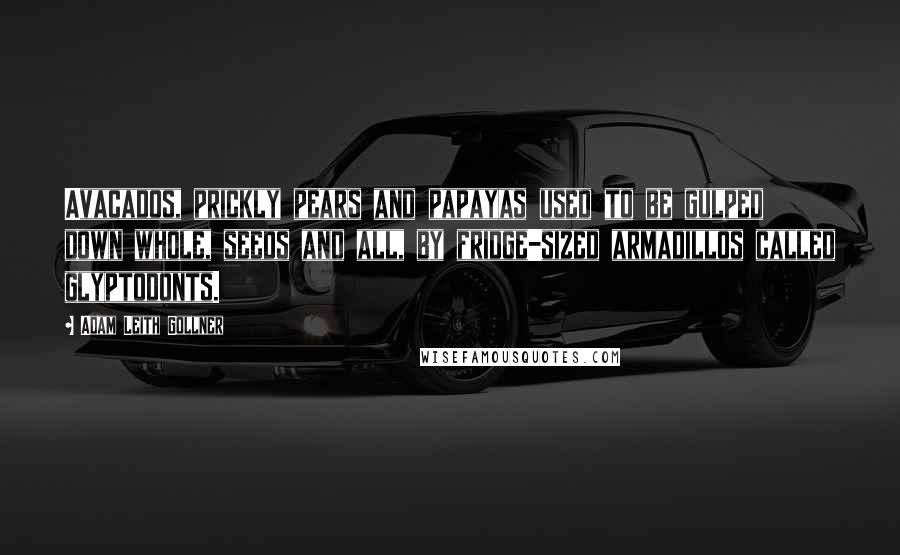 Adam Leith Gollner Quotes: Avacados, prickly pears and papayas used to be gulped down whole, seeds and all, by fridge-sized armadillos called glyptodonts.