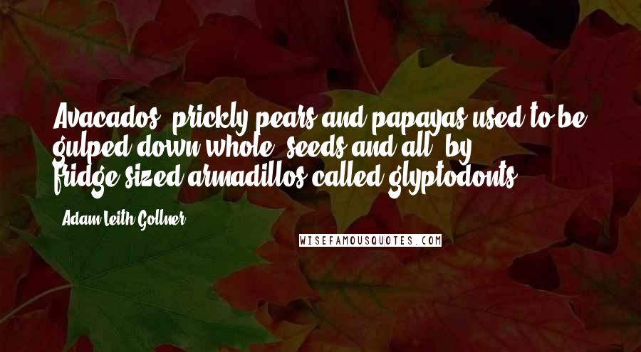 Adam Leith Gollner Quotes: Avacados, prickly pears and papayas used to be gulped down whole, seeds and all, by fridge-sized armadillos called glyptodonts.