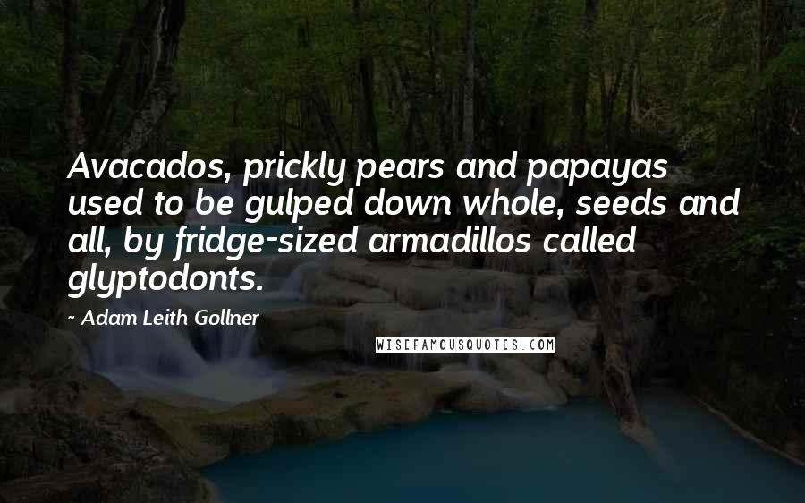 Adam Leith Gollner Quotes: Avacados, prickly pears and papayas used to be gulped down whole, seeds and all, by fridge-sized armadillos called glyptodonts.