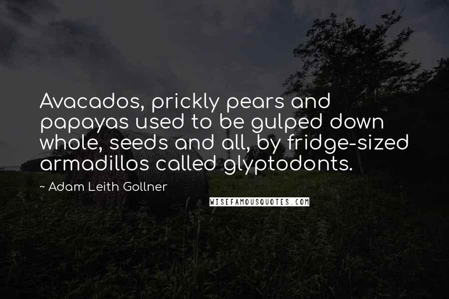 Adam Leith Gollner Quotes: Avacados, prickly pears and papayas used to be gulped down whole, seeds and all, by fridge-sized armadillos called glyptodonts.