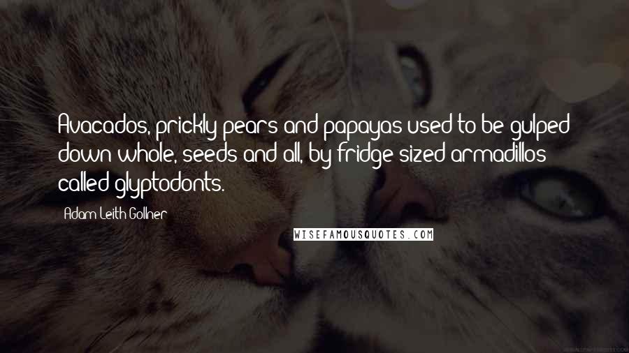 Adam Leith Gollner Quotes: Avacados, prickly pears and papayas used to be gulped down whole, seeds and all, by fridge-sized armadillos called glyptodonts.