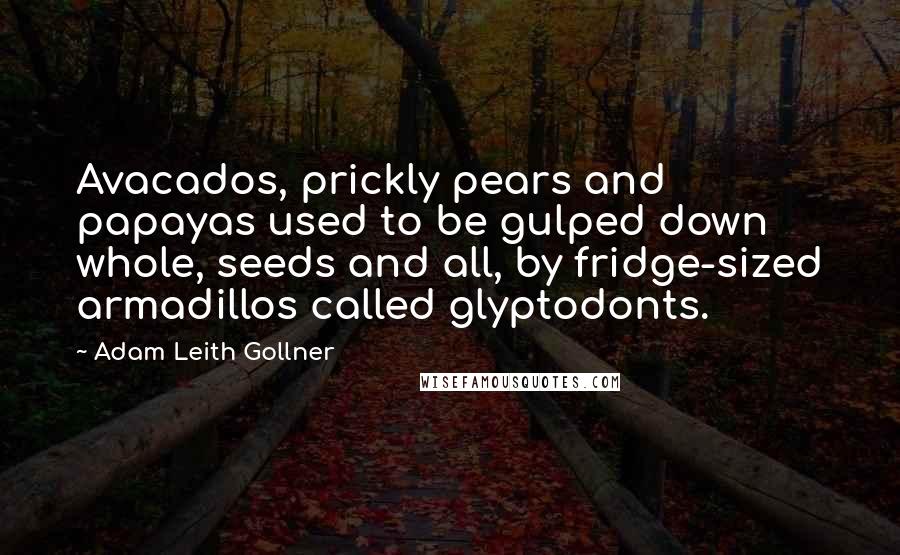 Adam Leith Gollner Quotes: Avacados, prickly pears and papayas used to be gulped down whole, seeds and all, by fridge-sized armadillos called glyptodonts.