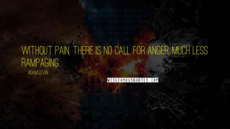 Adam Levin Quotes: Without pain, there is no call for anger, much less rampaging.