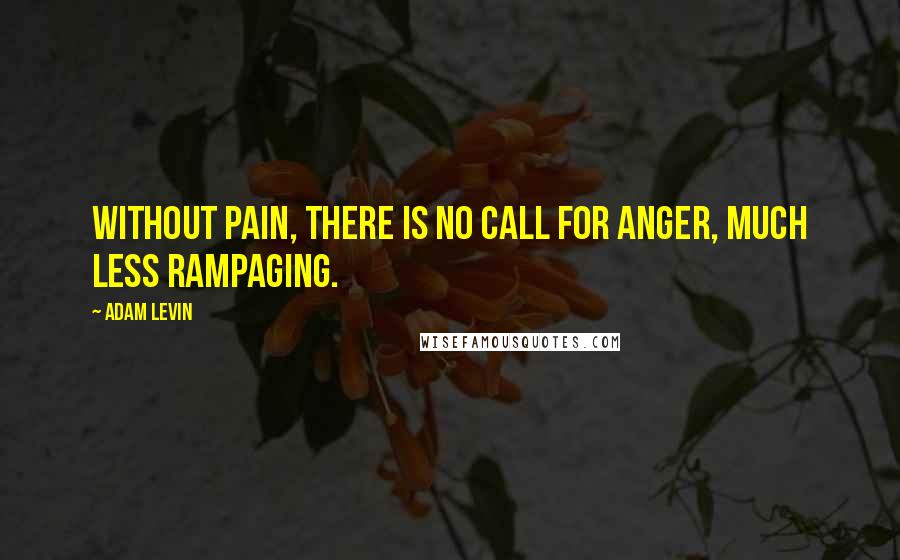 Adam Levin Quotes: Without pain, there is no call for anger, much less rampaging.