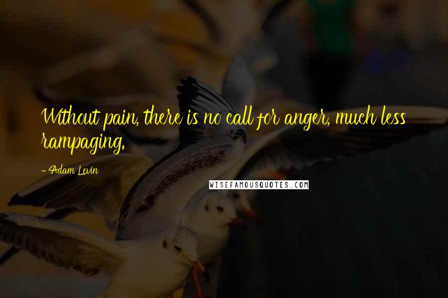 Adam Levin Quotes: Without pain, there is no call for anger, much less rampaging.