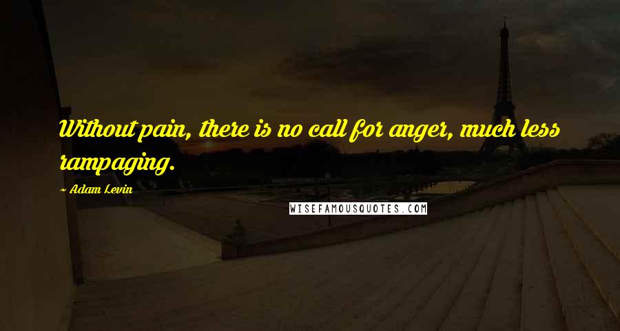 Adam Levin Quotes: Without pain, there is no call for anger, much less rampaging.