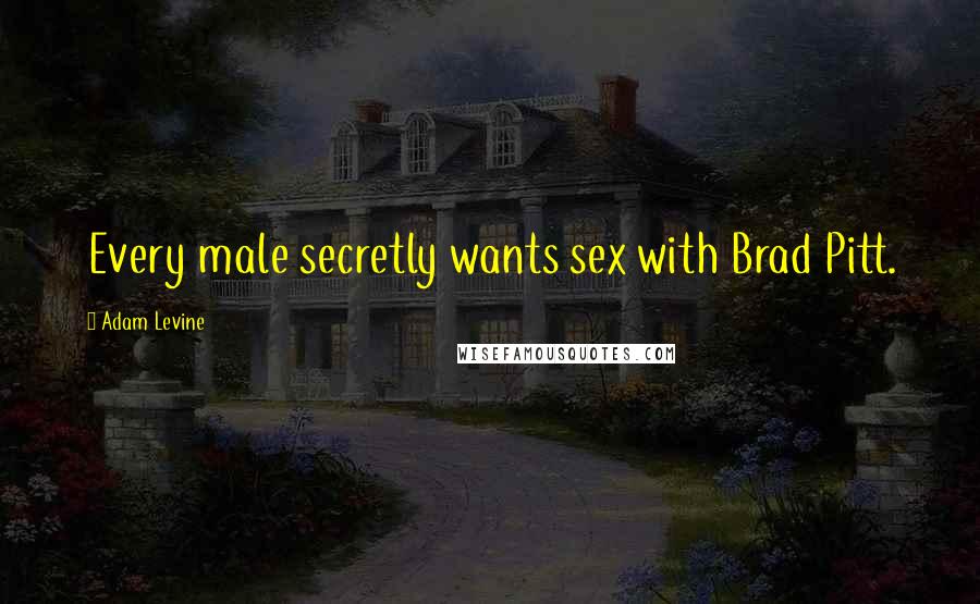 Adam Levine Quotes: Every male secretly wants sex with Brad Pitt.