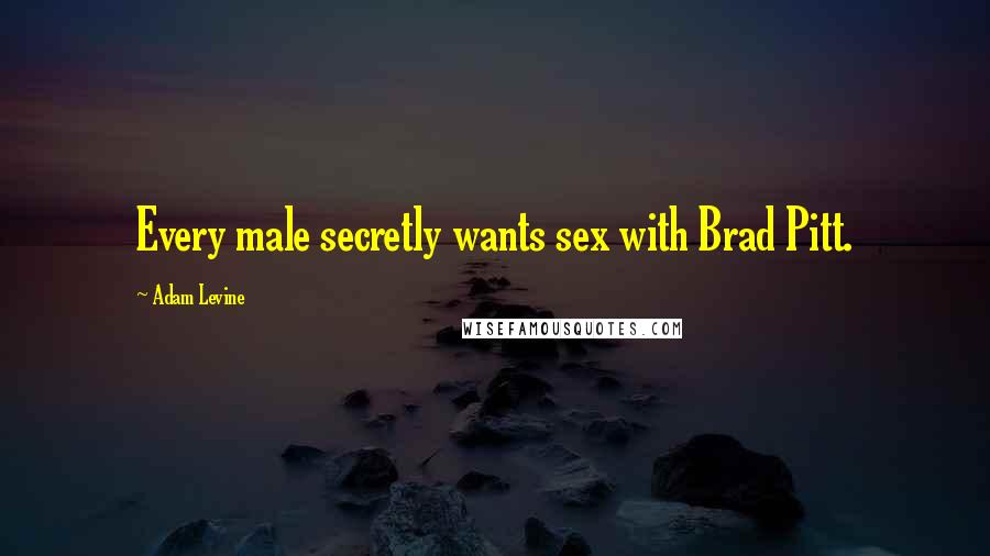 Adam Levine Quotes: Every male secretly wants sex with Brad Pitt.