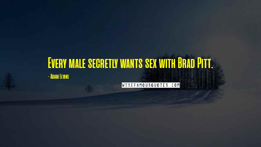 Adam Levine Quotes: Every male secretly wants sex with Brad Pitt.
