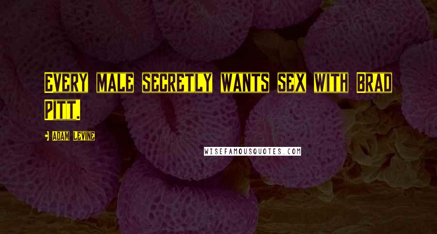 Adam Levine Quotes: Every male secretly wants sex with Brad Pitt.