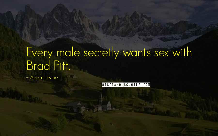 Adam Levine Quotes: Every male secretly wants sex with Brad Pitt.