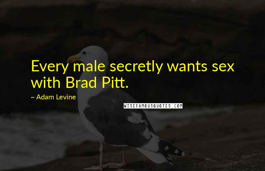 Adam Levine Quotes: Every male secretly wants sex with Brad Pitt.
