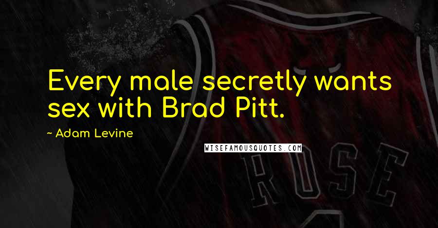 Adam Levine Quotes: Every male secretly wants sex with Brad Pitt.