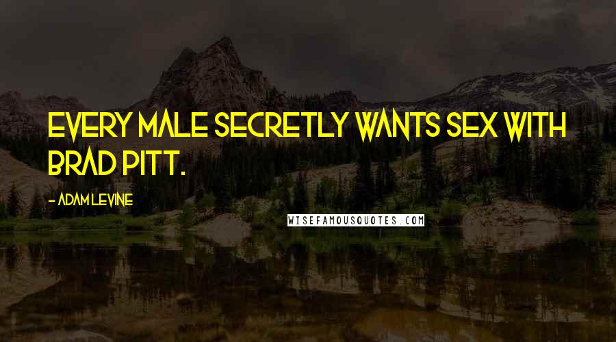 Adam Levine Quotes: Every male secretly wants sex with Brad Pitt.