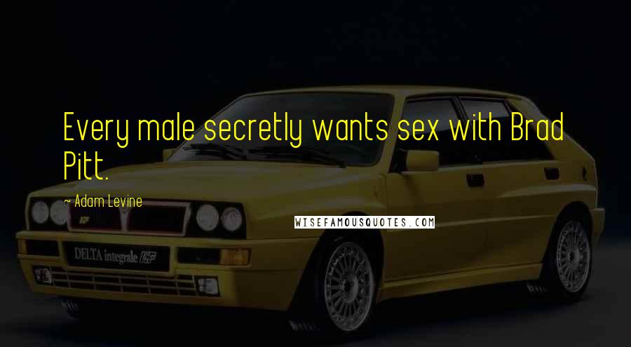 Adam Levine Quotes: Every male secretly wants sex with Brad Pitt.