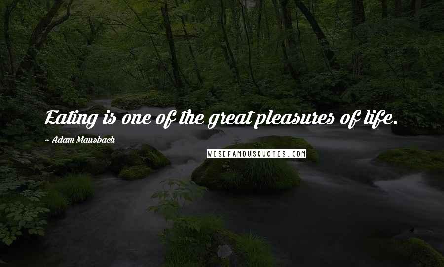 Adam Mansbach Quotes: Eating is one of the great pleasures of life.