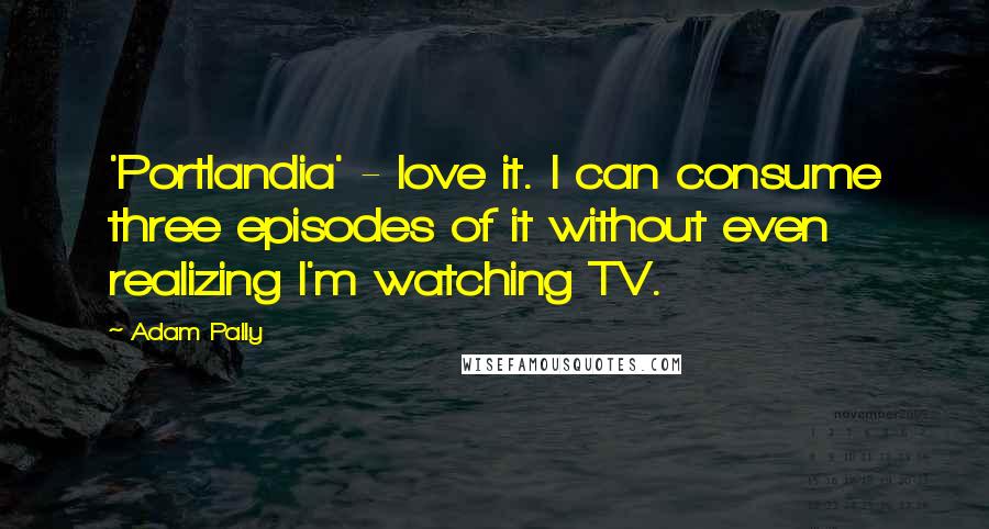 Adam Pally Quotes: 'Portlandia' - love it. I can consume three episodes of it without even realizing I'm watching TV.