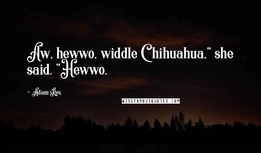 Adam Rex Quotes: Aw, hewwo, widdle Chihuahua," she said. "Hewwo.